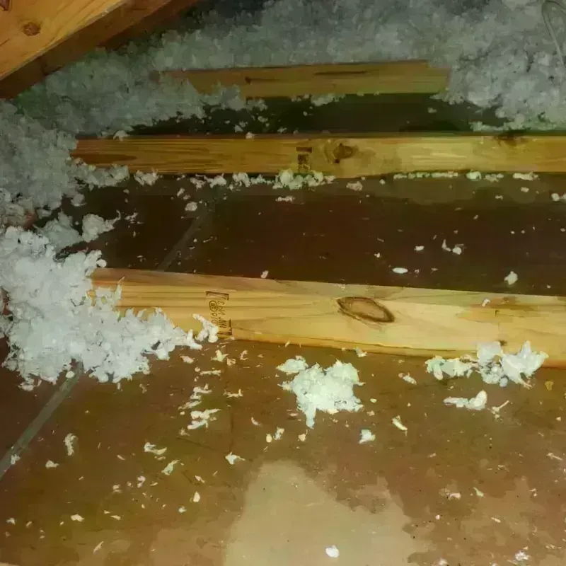 Attic Water Damage in Thorndale, TX